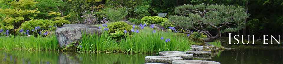 奈良依水園の花菖蒲と沢飛び石　Irisis and millstone on a garden pond