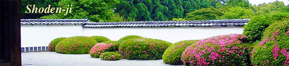 正伝寺の庭の白砂に皐月の玉物 A Karesansui Garden with Satsuki Azalea Tamamono